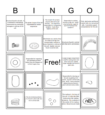 Cells and Organelles Bingo Card