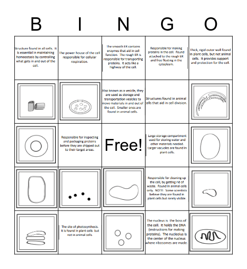 Cells and Organelles Bingo Card