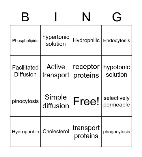 Cell membrane/cellular transport Bingo Card