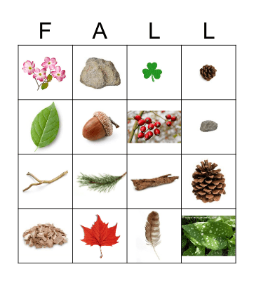 Nature Bingo Card