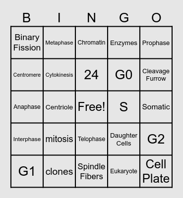 Cell Cycle & Mitosis Bingo Card