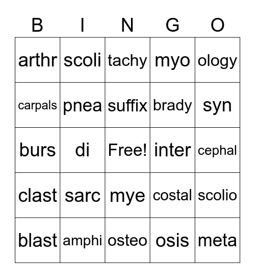 Skeletal System Bingo Card