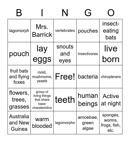 Mammals Test 1 Bingo Card