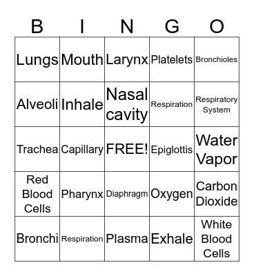 Respiratory System Bingo Card