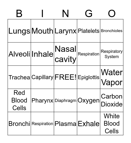 Respiratory System Bingo Card