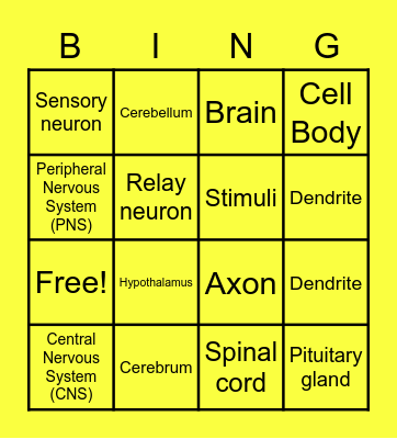 Nervous System Bingo Card