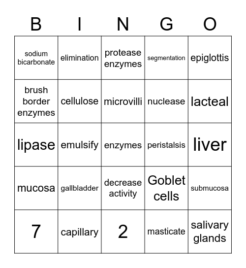 The Digestive System Bingo Card