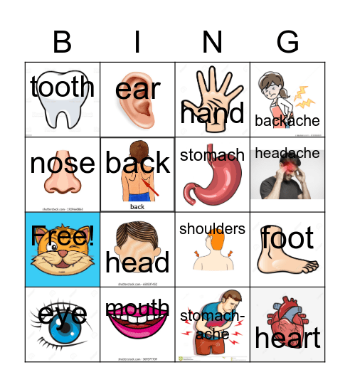 SENSATIONAL BODY! Bingo Card