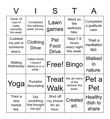 VISTA Bingo Card