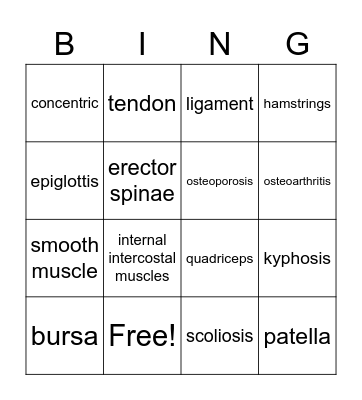 BTEC Sport Bingo Card