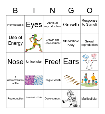 6 Characteristics of Life Bingo Card
