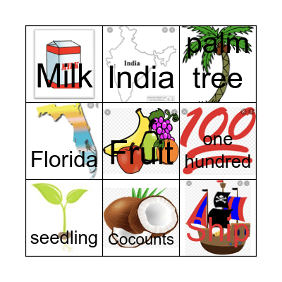 Coconut Bingo Card