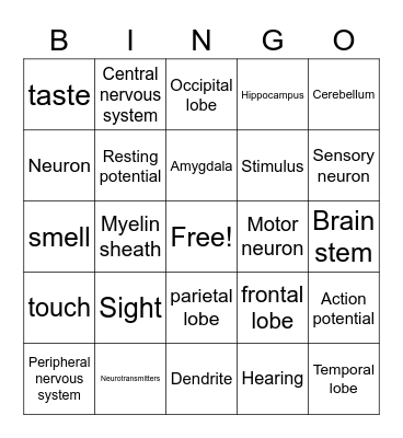 Nervous System Bingo Card
