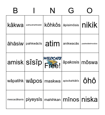 Animals In Cree!! Bingo Card