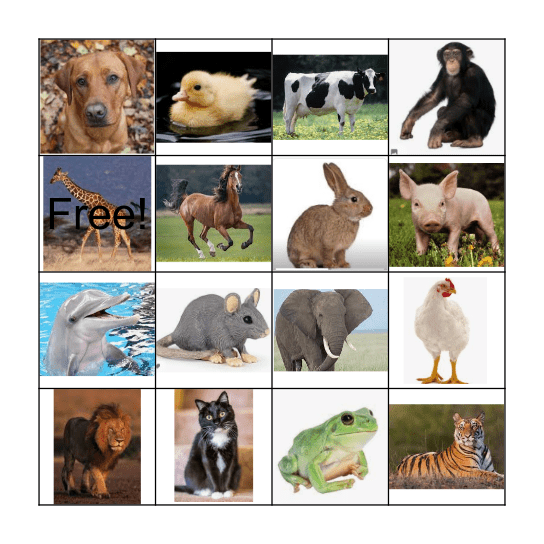 Jesus made the Earth and everything that's in it Bingo Card