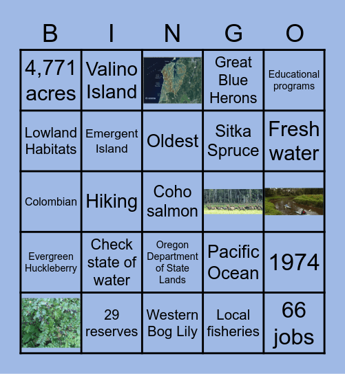 Welcome to the South Slough Reserve Bingo Card