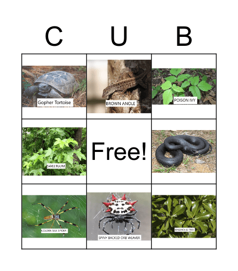 OUTDOOR BINGO Card