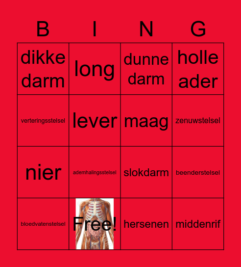 HV1_T2_Organen van dieren Bingo Card