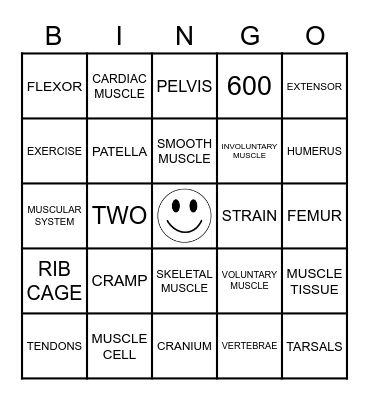 Muscular System Bingo Card