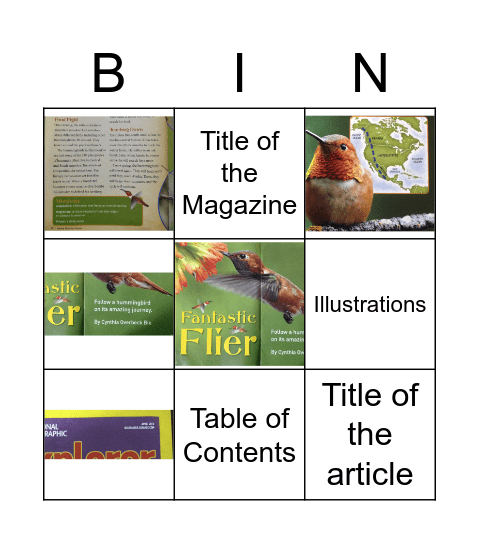 Elements of Non-fiction Bingo Card