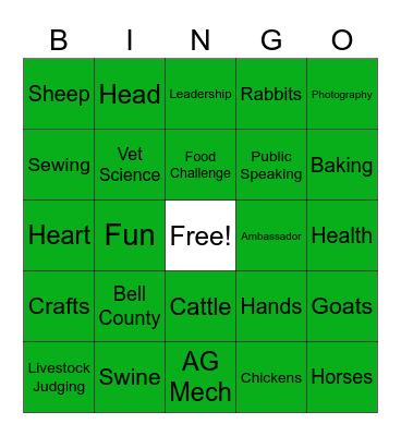 Salado 4H Bingo Card