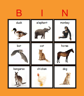 Animals Bingo Card