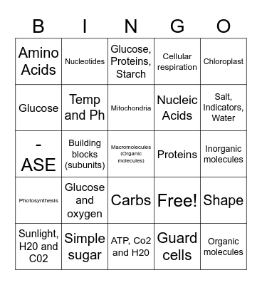 Cell Respiration Bingo Card