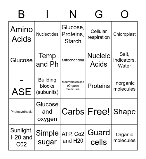 Cell Respiration Bingo Card
