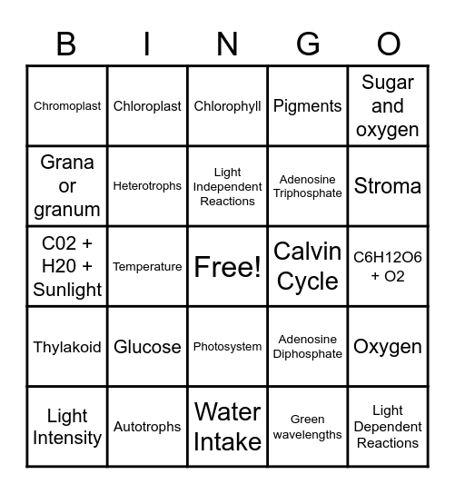 Photosynthesis Bingo Card