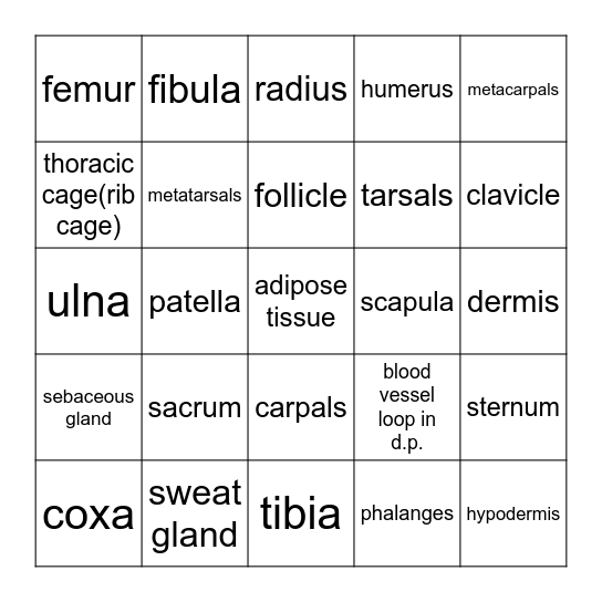 Bones/Skin Bingo Card