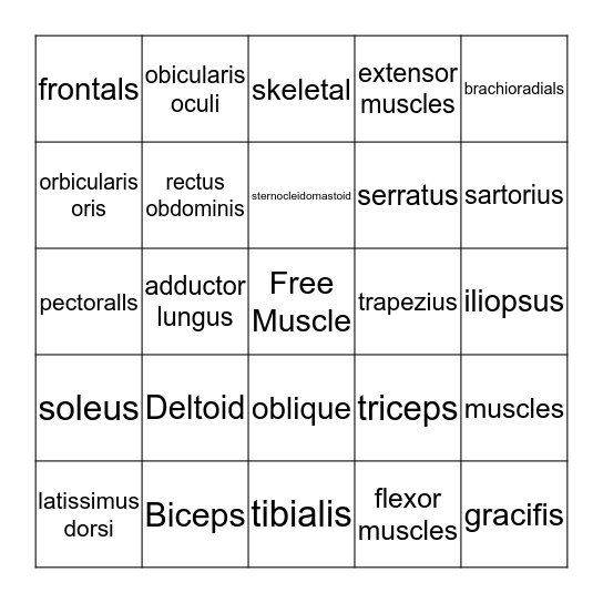 Muscular System Bingo Card