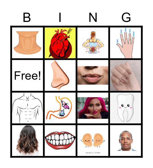 El cuerpo Bingo Card