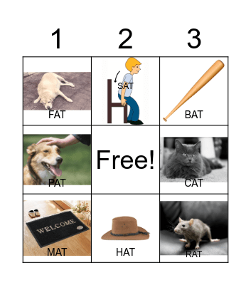 -AT Word Family Bingo Card