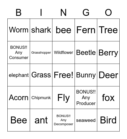 Producers/Consumers/Decomposers Bingo Card