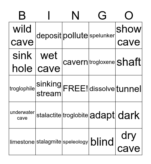 All About Caves Bingo Card