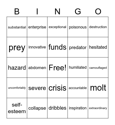 Vocabulary Bingo Card