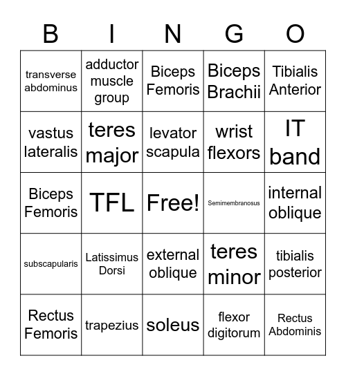 Muscles Bingo! Bingo Card