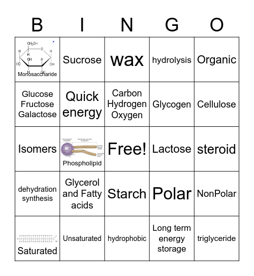 Carbs and Lipids Bingo Card