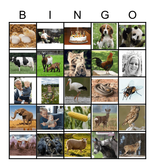 Familie weekend bingo Card