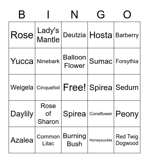 Shrubs & Perennials Bingo Card
