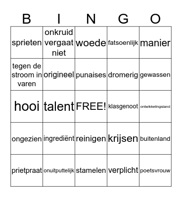 woordenschat Bingo Card