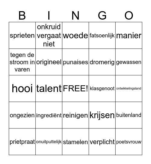 woordenschat Bingo Card