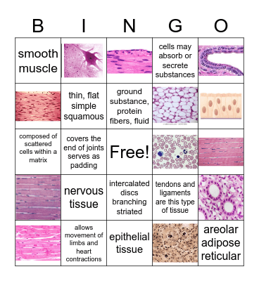 Tissues Bingo Card