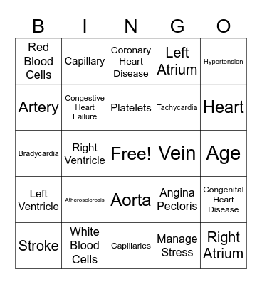 Circulatory System Bingo Card