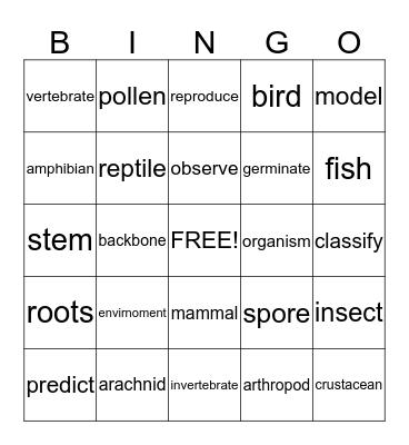 Science Vocabulary   Bingo Card