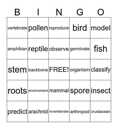 Science Vocabulary   Bingo Card