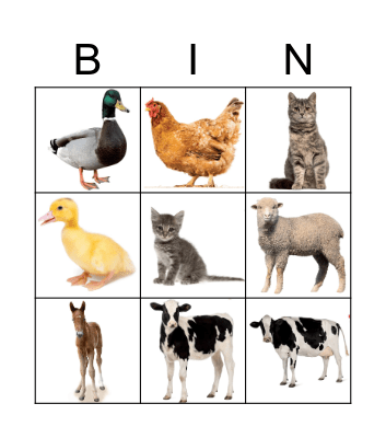 Farm animals: babies and their mums Bingo Card