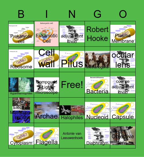 Cells Bingo Card