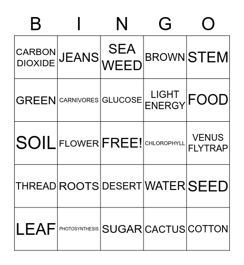 PLANT BINGO  Bingo Card
