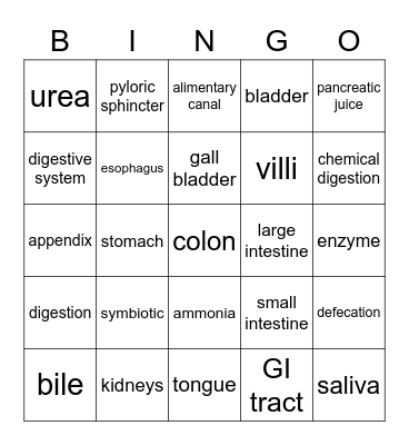 Lesson 4 Bingo Card